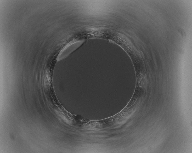 X0000111021298200906261532