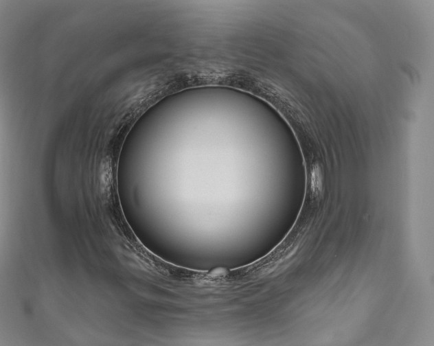 X0000111021299200906261532