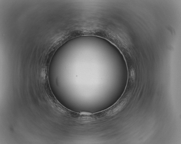 X0000111021300200906261532
