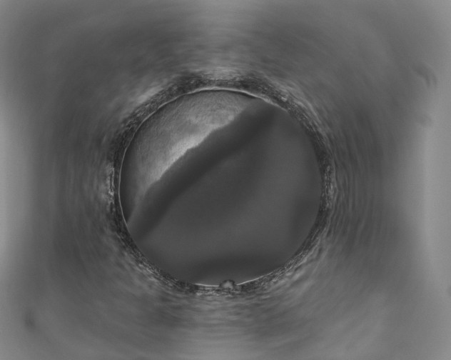 X0000111021301200906261532