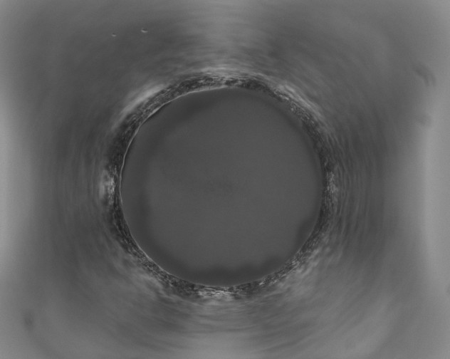 X0000111021302200906261532