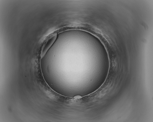 X0000111021304200906261532