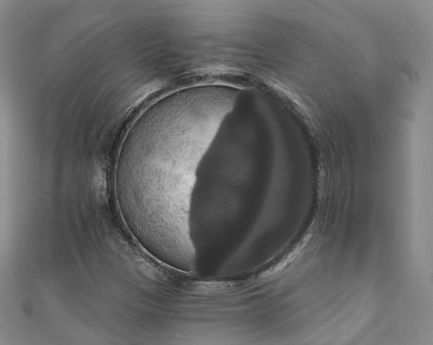 X0000111021305200906261532