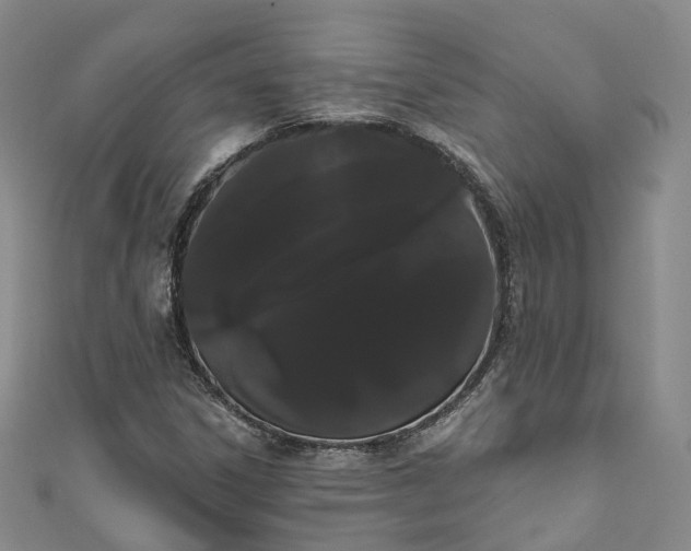 X0000111021306200906261532