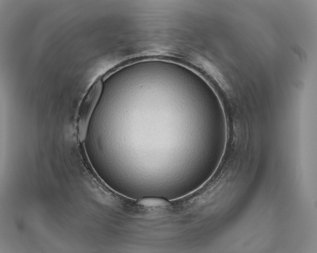 X0000111021308200906261532