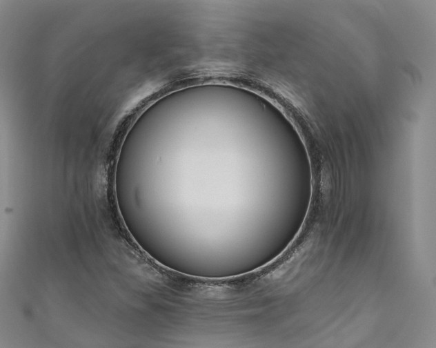 X0000111021309200906261532