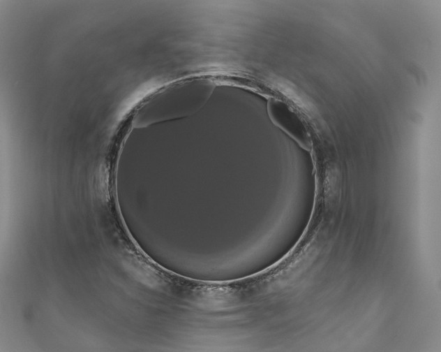 X0000111021310200906261532