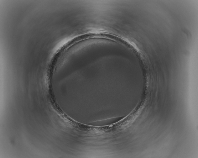 X0000111021311200906261532
