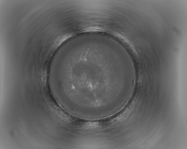 X0000111021313200906261532