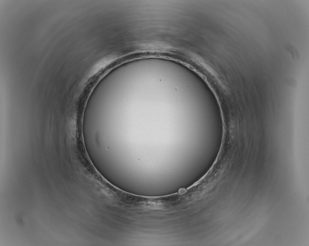 X0000111021315200906261532