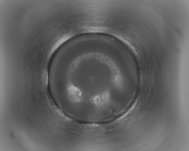 X0000111021317200906261532
