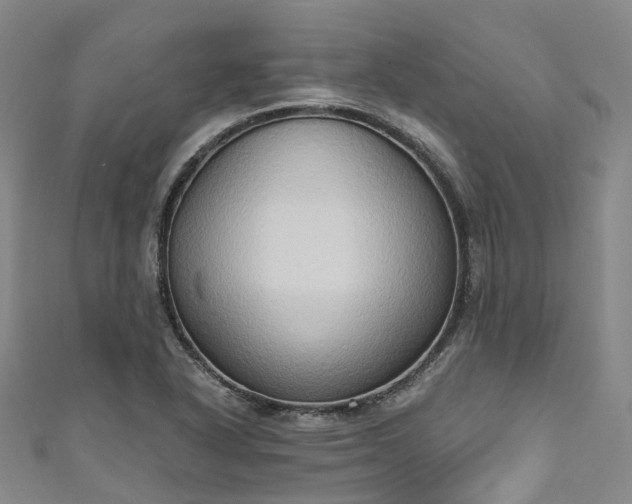 X0000111021318200906261532