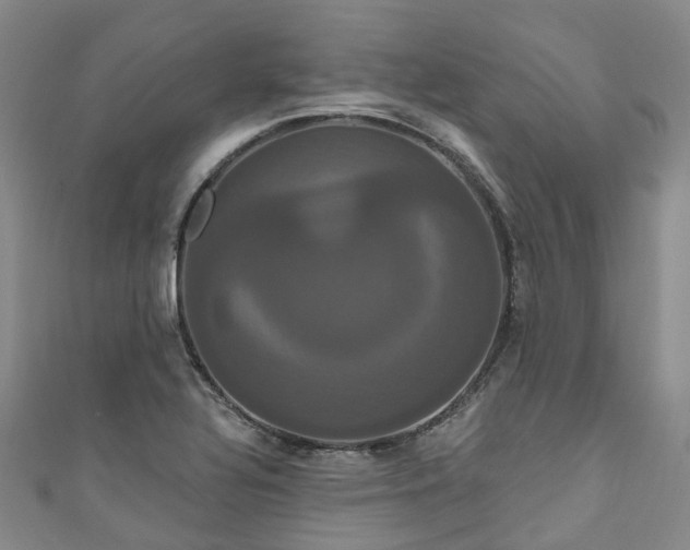 X0000111021320200906261532