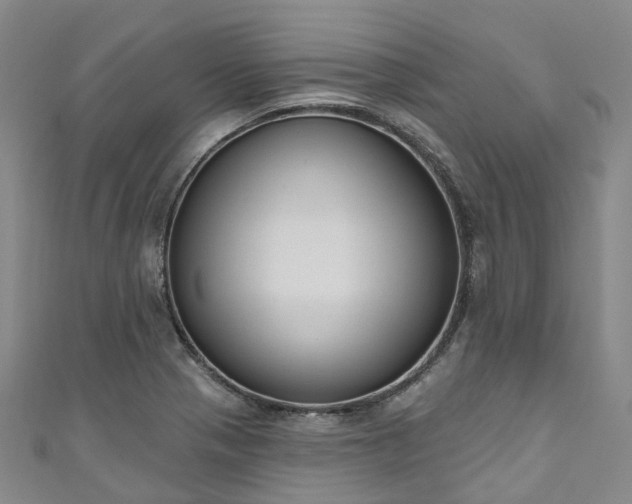 X0000111021321200906261532