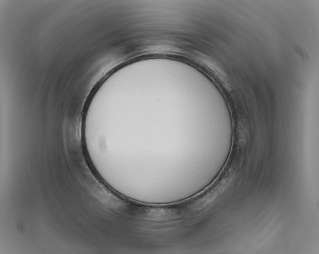 X0000111021322200906261532