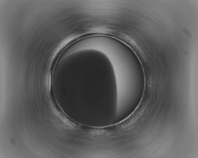 X0000111021323200906261532