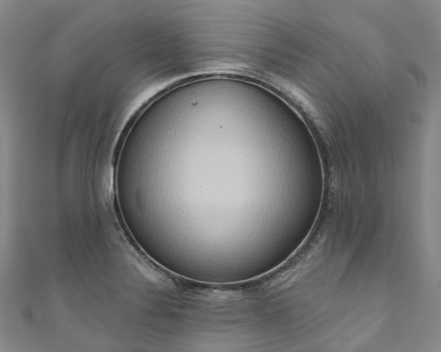X0000111021324200906261532