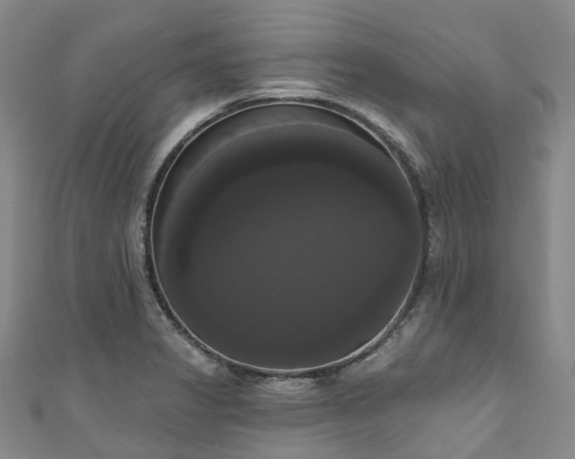 X0000111021325200906261532