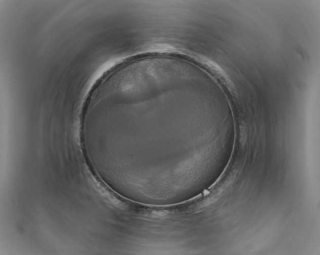 X0000111021326200906261532