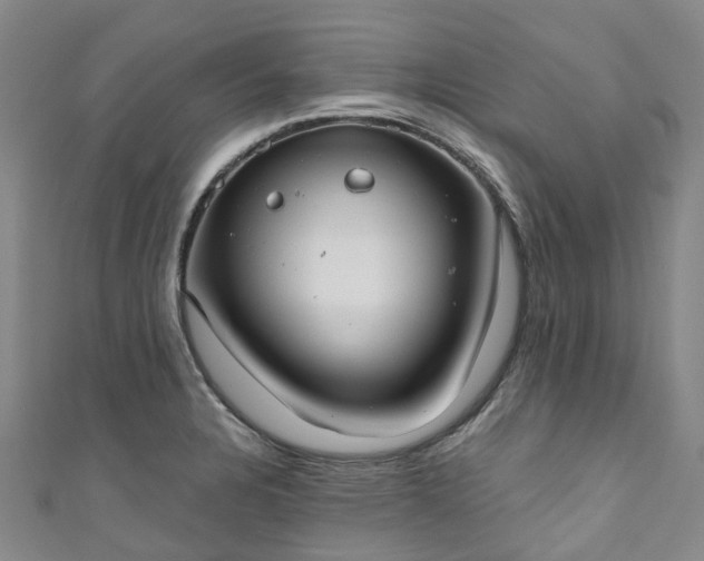 X0000111021328200906261532