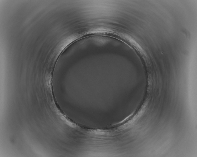 X0000111021329200906261532