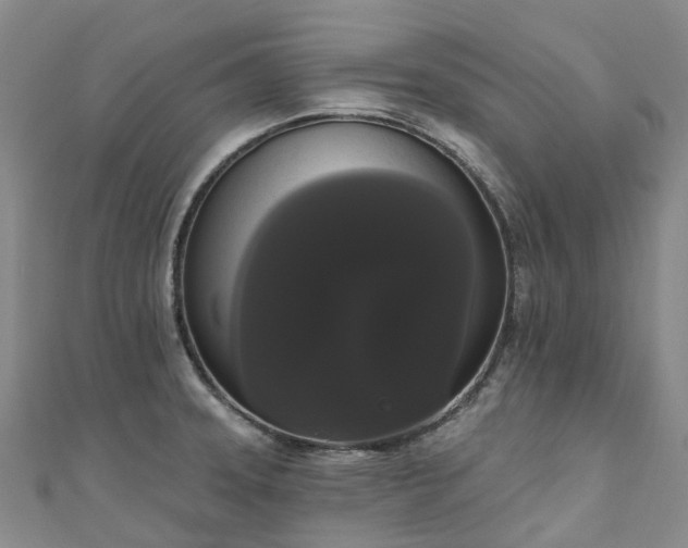 X0000111021331200906261532