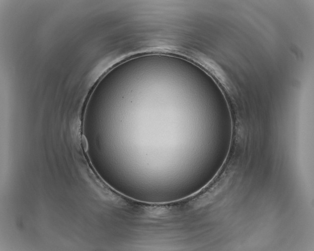 X0000111021332200906261532