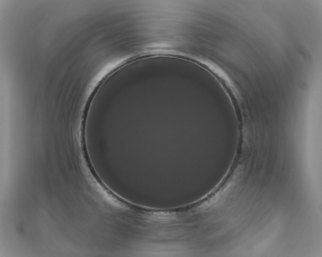 X0000111021333200906261532