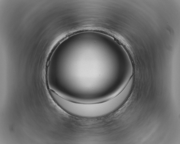 X0000111021334200906261532