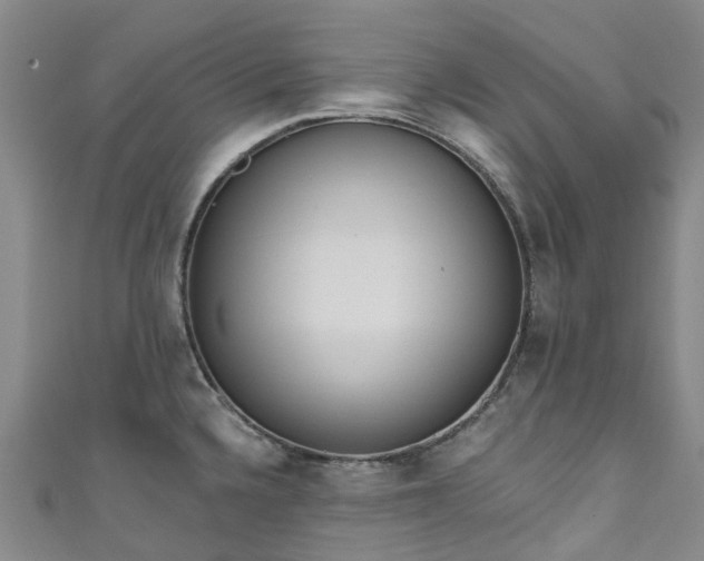 X0000111021336200906261533