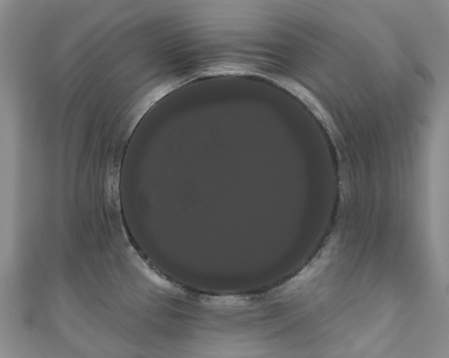 X0000111021337200906261533