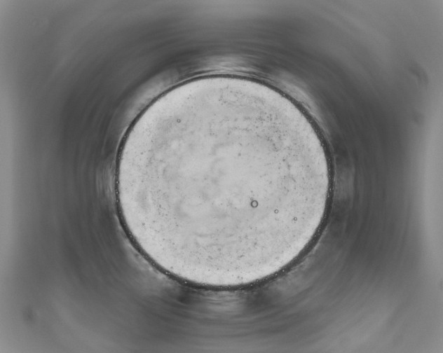 X0000111021338200906261533