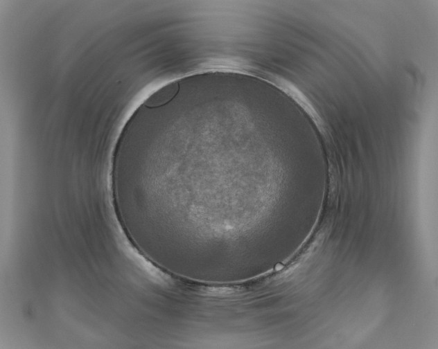 X0000111021339200906261533