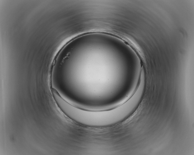 X0000111021340200906261533