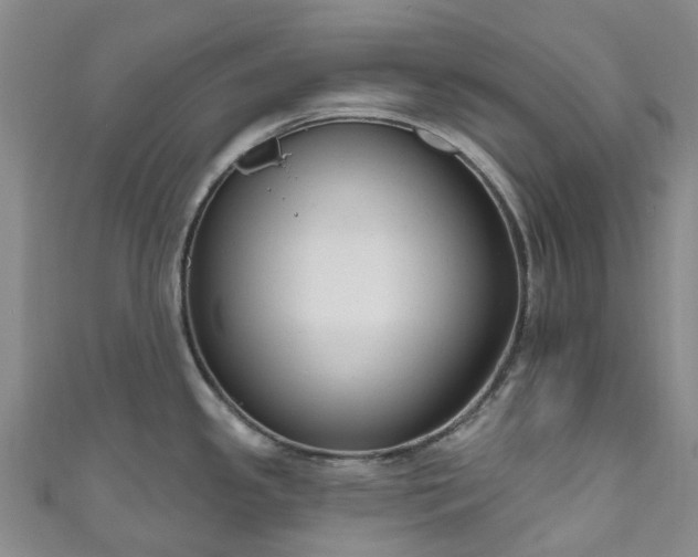 X0000111021341200906261533