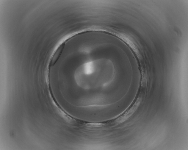 X0000111021342200906261533