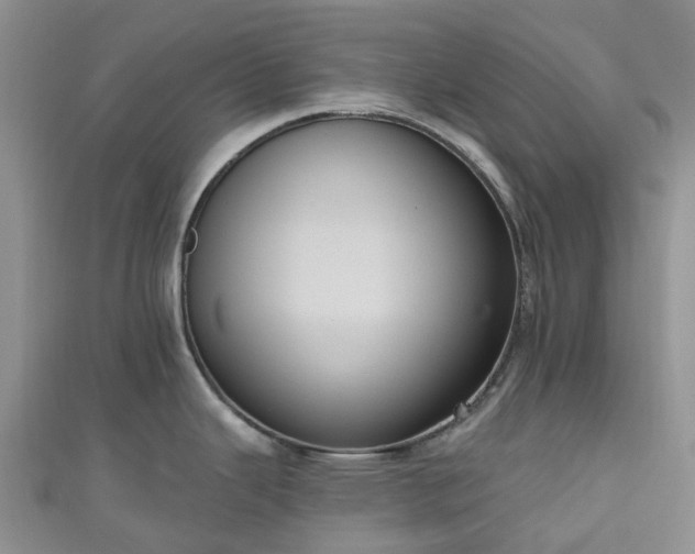 X0000111021343200906261533