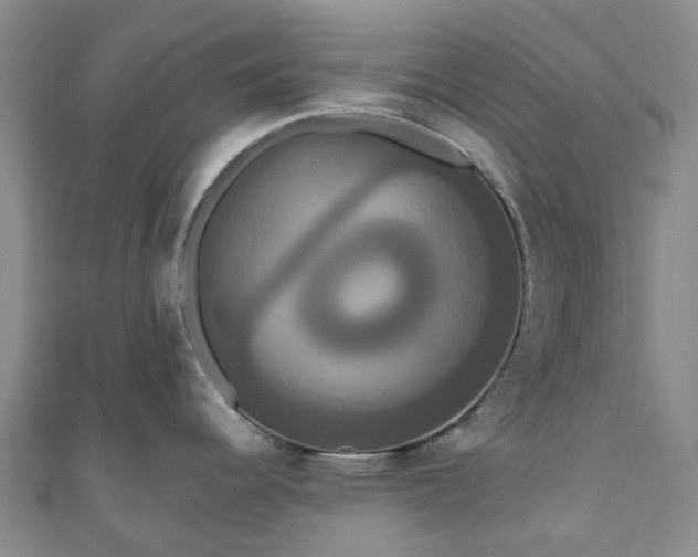 X0000111021344200906261533