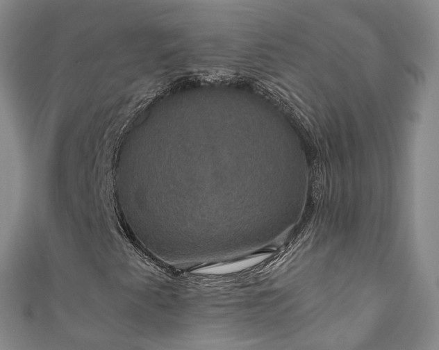 X0000111021345200906261532