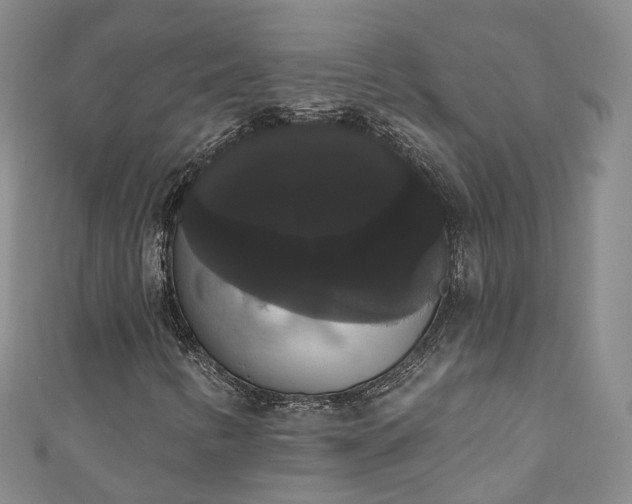 X0000111021346200906261532