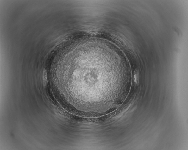 X0000111021347200906261532
