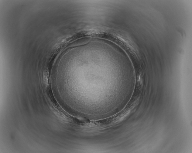 X0000111021348200906261532