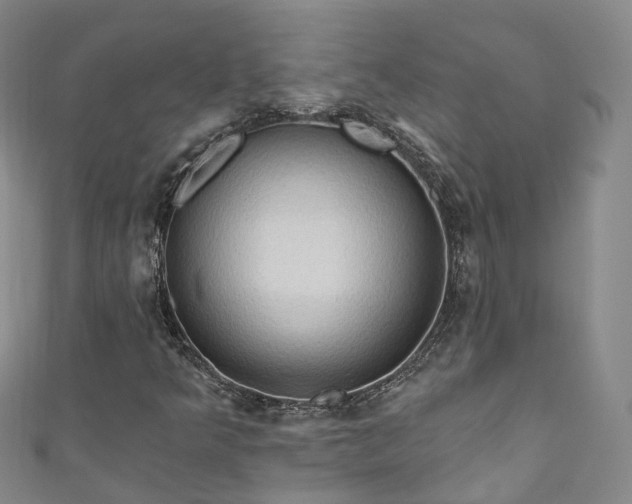 X0000111021349200906261532