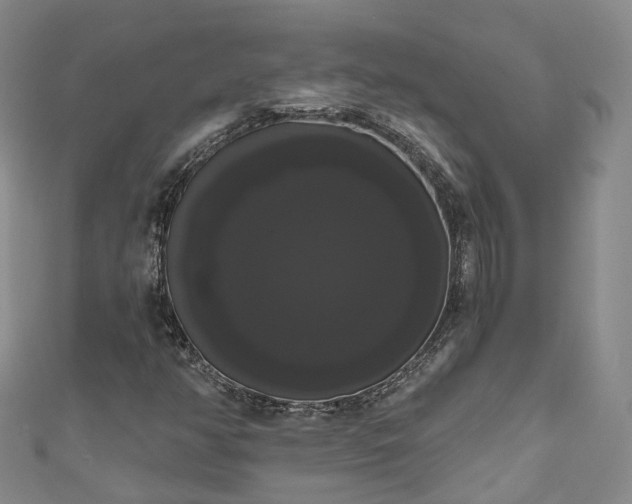 X0000111021350200906261532