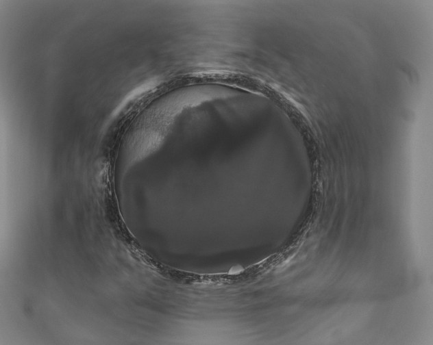 X0000111021351200906261532