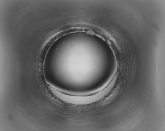 X0000111021352200906261532