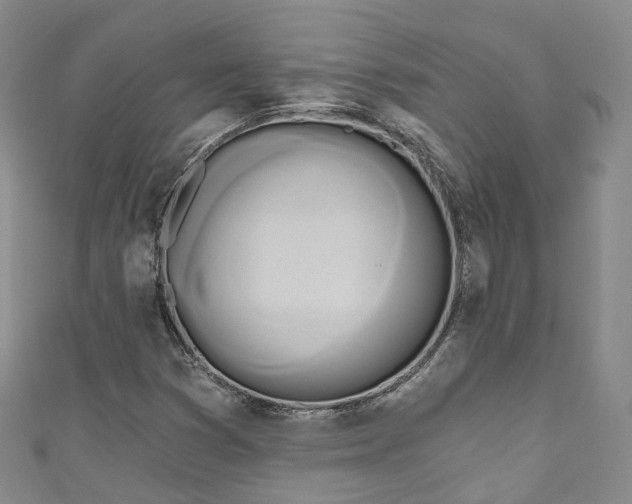 X0000111021353200906261532