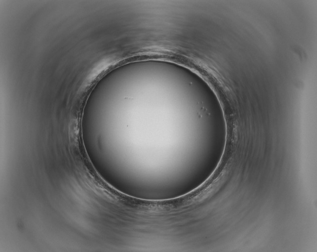 X0000111021355200906261532