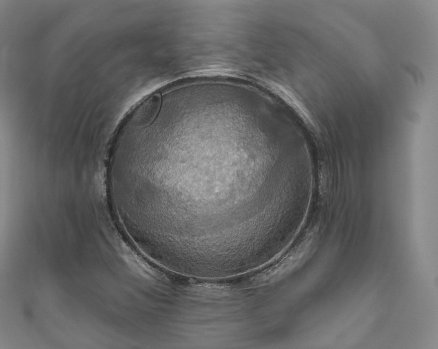 X0000111021356200906261532