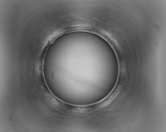 X0000111021357200906261532